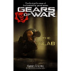 The Slab - Karen Traviss
