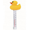 Teploměr plovoucí bazénový – kačenka..
