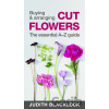 Buying & Arranging Cut Flowers - Judith Blacklock