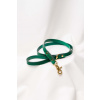 Dog leash Ponte Green