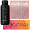 Schwarzkopf IGORA Vibrance farba Tón v tóne 9,5-19 Cédrovo-fialový toner