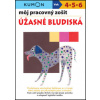 Môj pracovný zošit Úžasné bludiská (Toshihiki Karakido,Yoshiko Murakami,Masako Watanabe)()