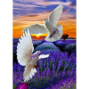 Norimpex Diamantové maľovanie Holubica nad levanduľovým poľom 40x30cm
