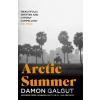Arctic Summer - Damon Galgut