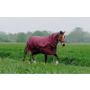 EQUITHÉME Deka výbehová Tyrex Combo Equithème, s krkom, 200 g, burgundy Dĺžka chrbta: 150 cm