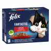 Felix Fantastic kura, hovädzí, králík a jahňací v želé 12 x 85 g