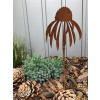Echinacea s malými kvetmi záhradami (Echinacea s malými kvetmi záhradami)