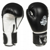 Boxerské rukavice DBX Bushido ARB-407A 6 oz (ARB -407A Sparring Rukavice - 6 oz)