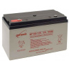 Batéria Genesis NP100-12 (12V/100Ah)