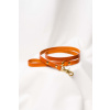 Dog leash Ponte Honey