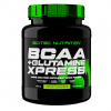 Scitec Nutrition BCAA + Glutamine Xpress 600 g ovocná žuvačka
