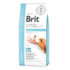Brit VD Dog GF Obesity 12kg