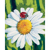 Maľovanie podľa čísel Lienka na harmančeka, 40x50 cm, vypnuté plátno na rám (6056261)