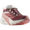 Salomon Sense Ride 5 GTX W L47314500 - syrah/vanilla ice/peach 36 2/3
