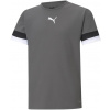 Puma | teamRISE Jersey Jr | šedá| XXS(111-116cm)