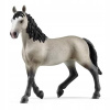 SCHLEICH 13955 Kobyla plemena Selle Français