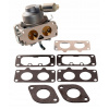 Karburátor Briggs & Stratton Intek V-TWIN 10-01024