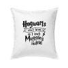 Harry - Hogwarts wasn’t hiring, so I teach Muggles instead - Vankúš 50x50 - 50x50 - Iba poťah ( Biela )