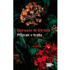 Přízrak v hrdle - Ní Ghríofa Doireann