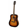 Akustická gitara Richwood SB Dreadnought