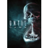 Until Dawn - Steam PC