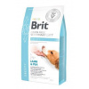 Brit VD Dog GF Obesity 2kg exp. 12/23
