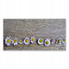 Moderná maľba 140x70 Daisy Plant Príroda (Moderná maľba 140x70 Daisy Plant Príroda)