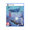 Selfloss (PS5)