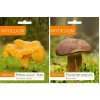Mycélium Mycélium hríb hnedý 0,01 kg (Mycélium SET CHANT + BOLETE MUSHROOM zajac)