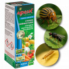Insektycyd Benevia 100 OD Agrecol - Skuteczna ochrona przed szkodnikami roślin jadalnych (Odkryj moc profesjonalnego insektycydu Benevia 100 OD od Agrecol, który zapewni Twoim roślinom jadalnym doskon