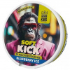Aroma King nikotinové sáčky - Blueberry ICE Obsah nikotinu: 5 mg