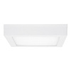 Ecolite LED-CSQ-CCT/12W/BI