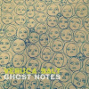 VERUCA SALT: GHOST NOTES CD