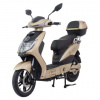 Racceway E-Fichtl 250W 20Ah Zlatá