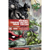 Batman/Teenage Mutant Ninja Turtles Deluxe Edition