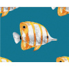 ZUTY Maľovanie podľa čísel EXOTICKÉ RYBY Rámovanie vypnuté plátno na rám Rozmer 80x100 cm