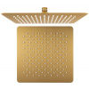 Sapho SLIM hlavová sprcha, 300x300m, zlato mat, SL101GB