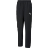 Puma teamRise Sideline Pants 65732703