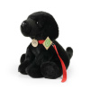 Eco-Friendly labrador čierny s vodítkom 28 cm
