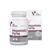 VetExpert Hepatiale Forte large breed 40 tbl