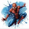 CUKROVÁ TLAČ jedlý obrázok na tortu Cukrová hmota SPIDERMAN SPIDER-MAN BAJKA + MENO