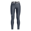 Under Armour HG Legging 1390069-044