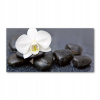 Foto obraz temperované sklenené orchidey 140x70 (Foto-image Veľká akrylová orchideová fotografia 140x70cm)