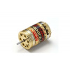Kyosho Le Mans 480 Gold BLS Motor 21.5 Legendary Serie (K.37035)