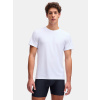 Under Armour Pánske tričko M UA Perf Tech Mesh Crew Neck-2pk LG