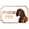 Írsky seter - Kovová tabuľka POZOR PES