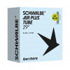 SCHWALBE duše 29