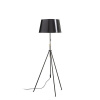 Rendl R14066
