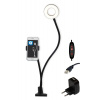 Top-light Neck C