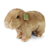ECO-FRIENDLY Rappa kapybara 30 cm